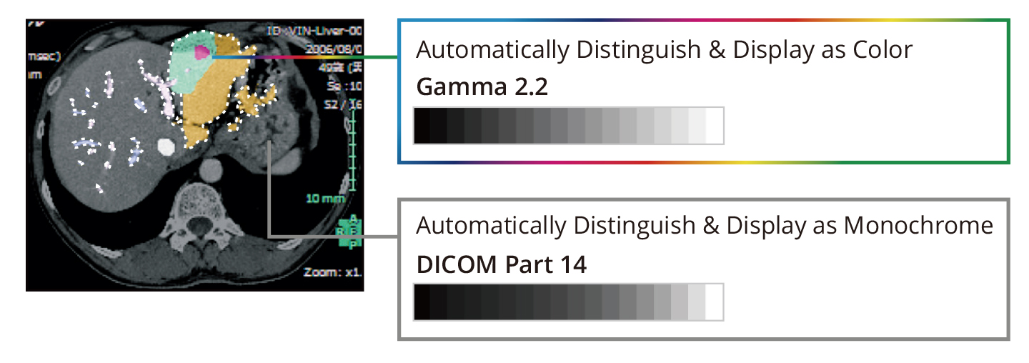HybridDisplay